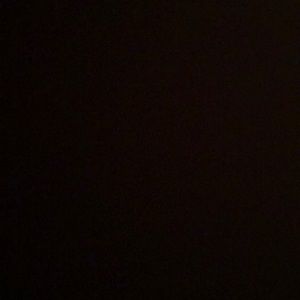 Meet your Posher, Eva